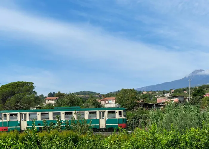 Il Limoneto Di Leo * Mascali