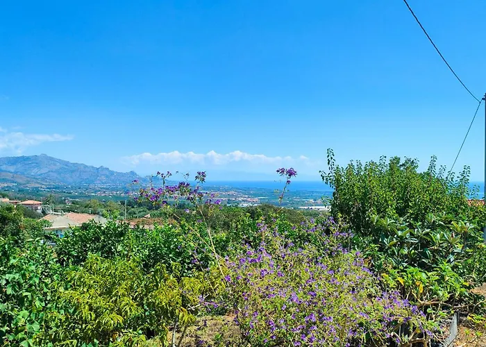 Il Limoneto Di Leo 度假居 马斯卡利